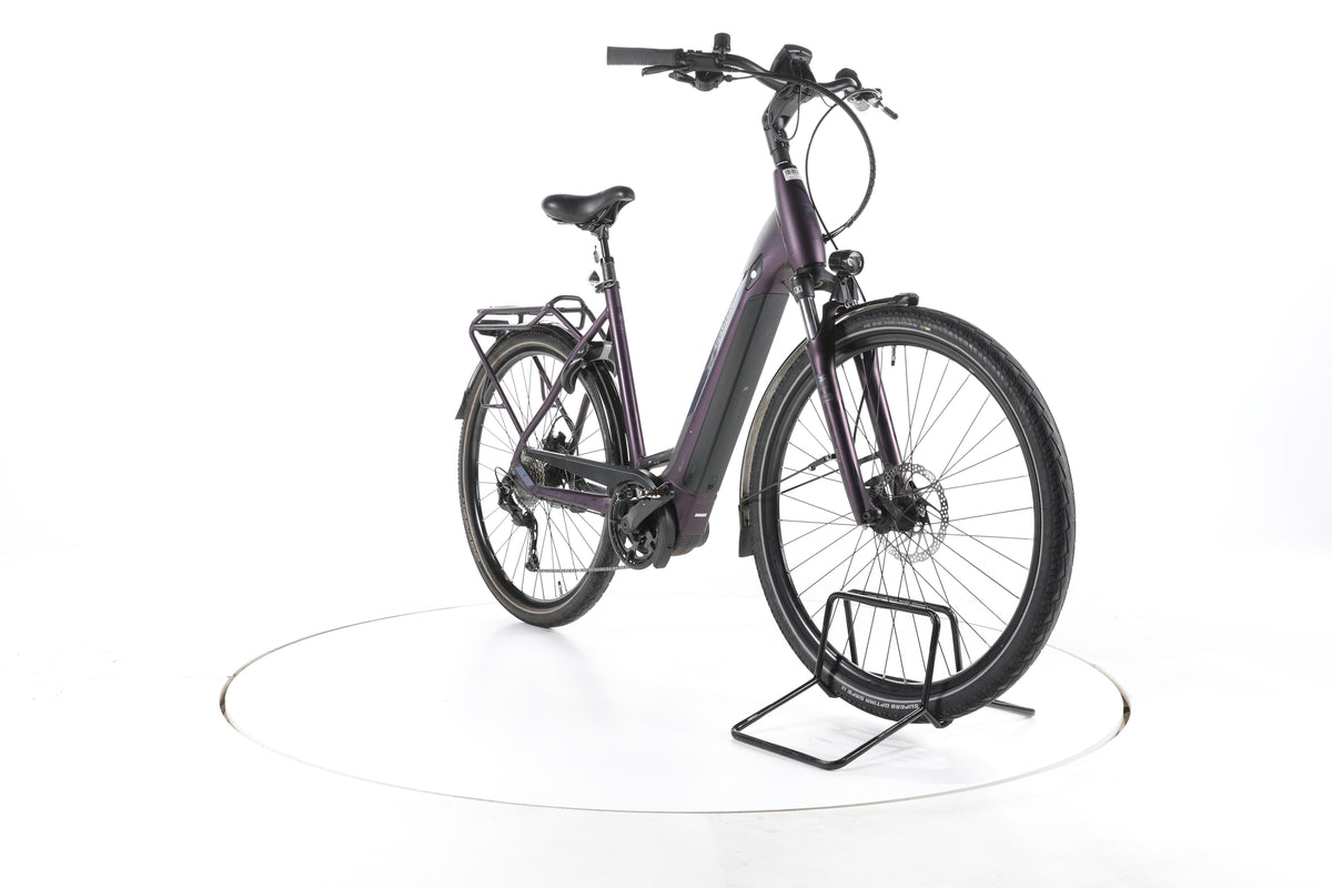 Pegasus Solero EVO 9 Trekking E-Bike Tiefeinsteiger - Image 3
