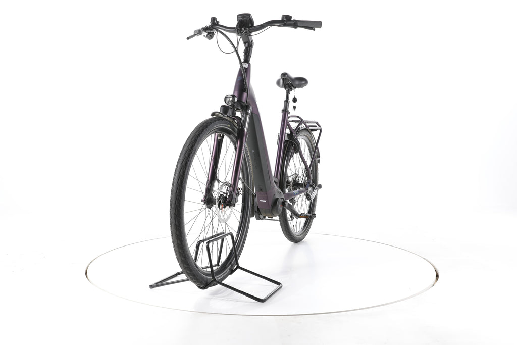 Pegasus Solero EVO 9 Trekking E-Bike Tiefeinsteiger - Image 5