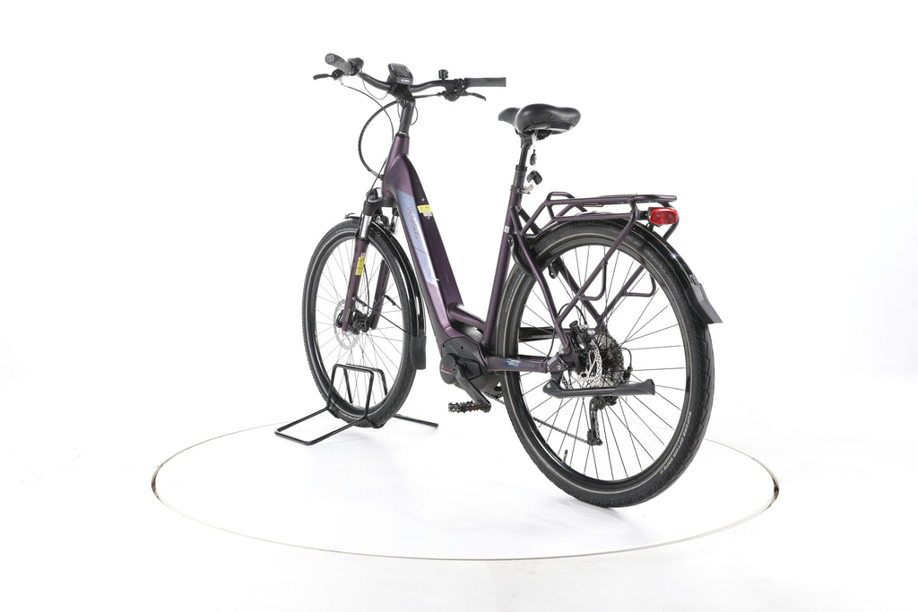 Pegasus Solero EVO 9 Trekking E-Bike Tiefeinsteiger - Image 9
