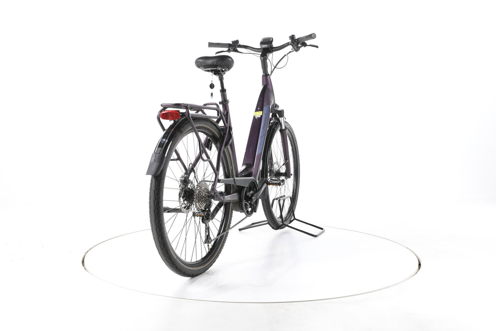 Pegasus Solero EVO 9 Trekking E-Bike Tiefeinsteiger - Image 11