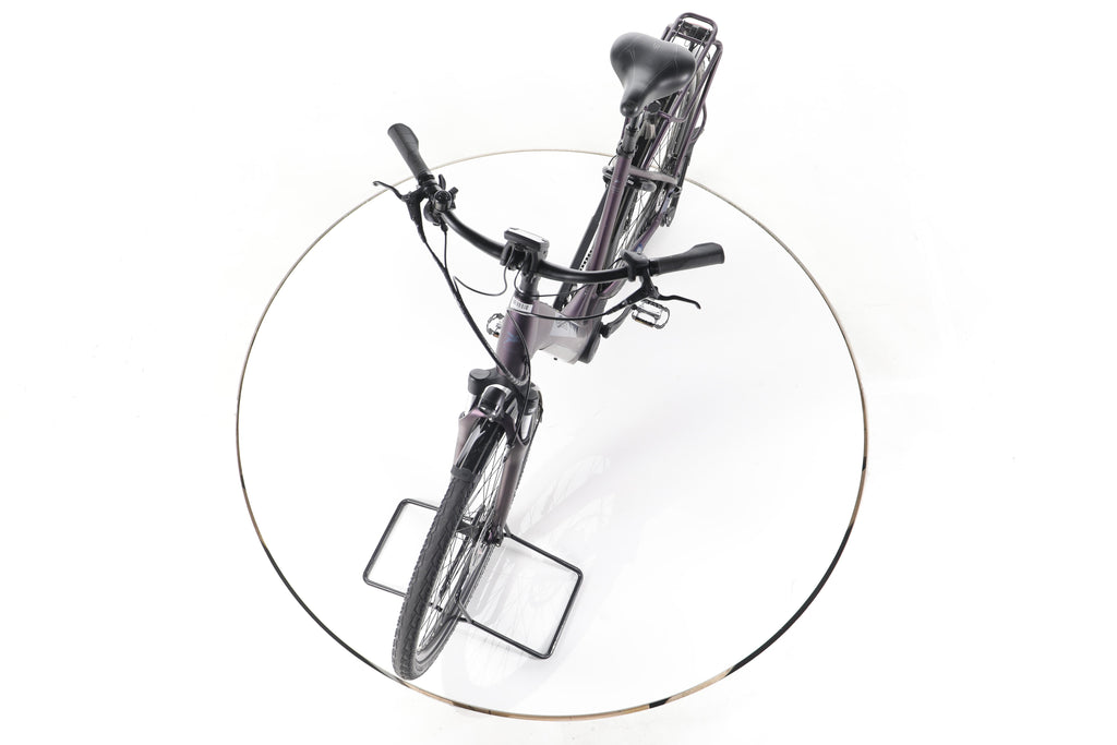 Pegasus Solero EVO 9 Trekking E-Bike Tiefeinsteiger - Image 17
