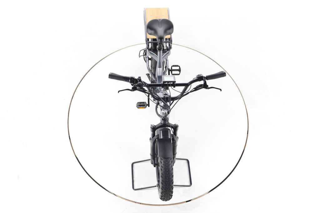 Himiway Big dog E-Fatbikes - Image 16