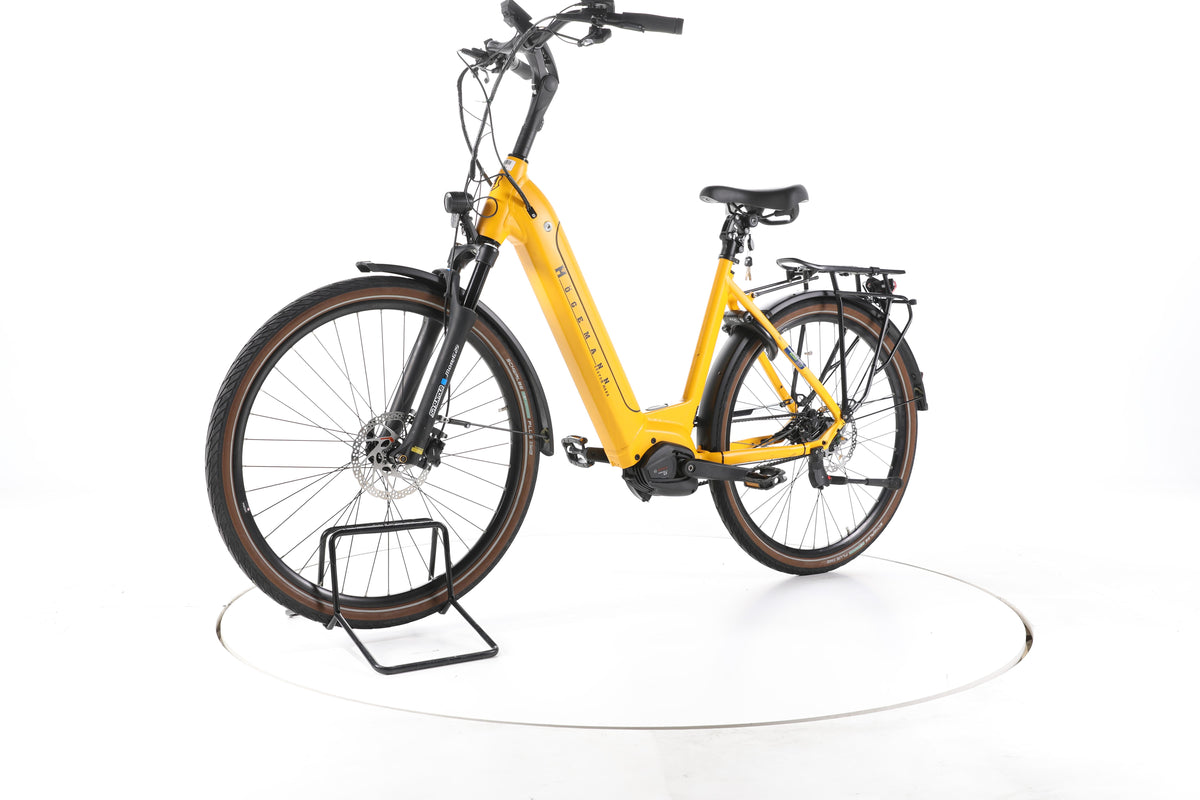 HÖGEMANN BSM 28 City E-Bike Tiefeinsteiger 2025 - Image 6