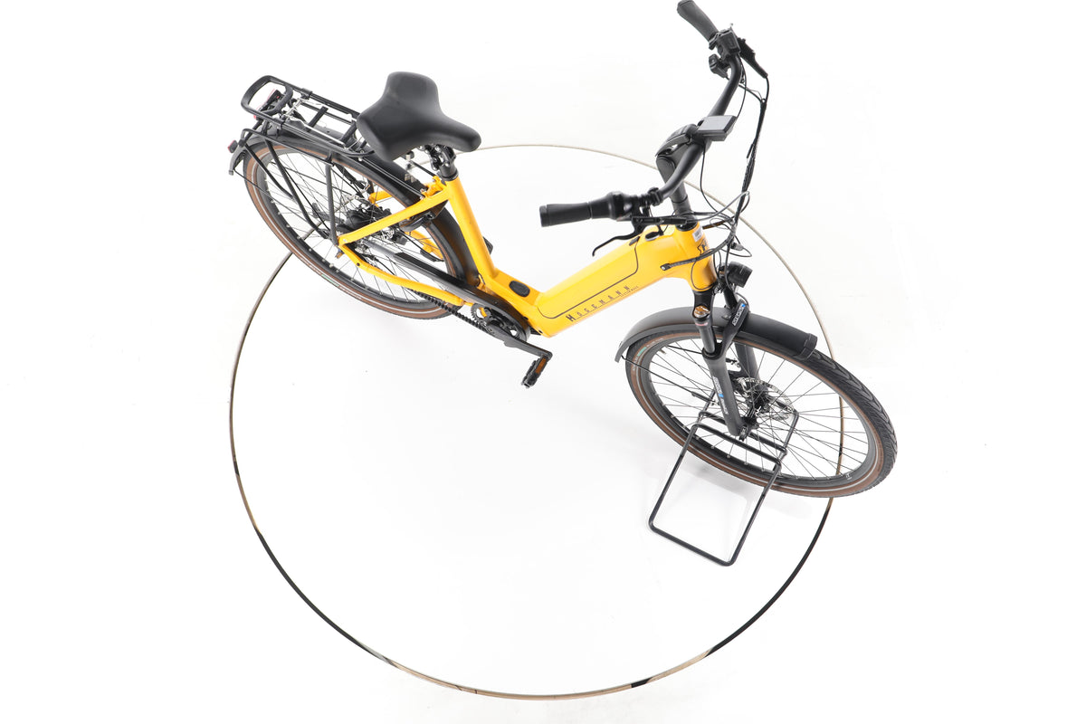 HÖGEMANN BSM 28 City E-Bike Tiefeinsteiger 2025 - Image 14