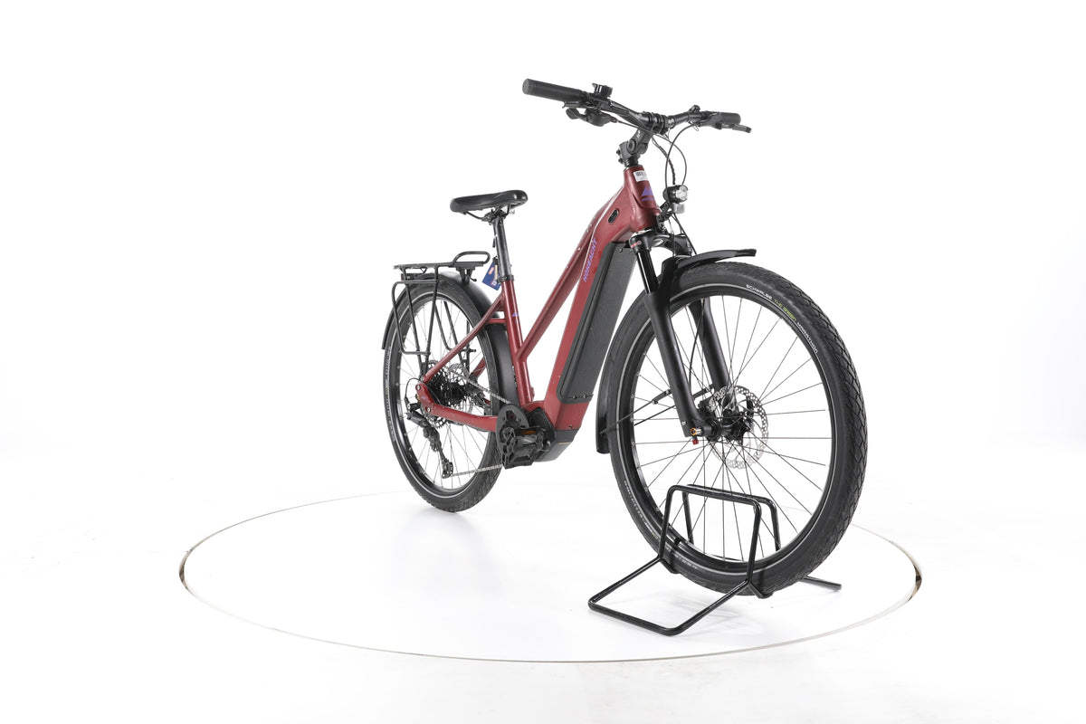 HoheAcht Pasia Terra Trekking E-Bike - Image 3