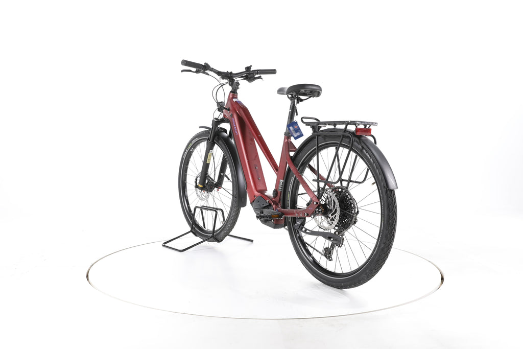 HoheAcht Pasia Terra Trekking E-Bike - Image 9