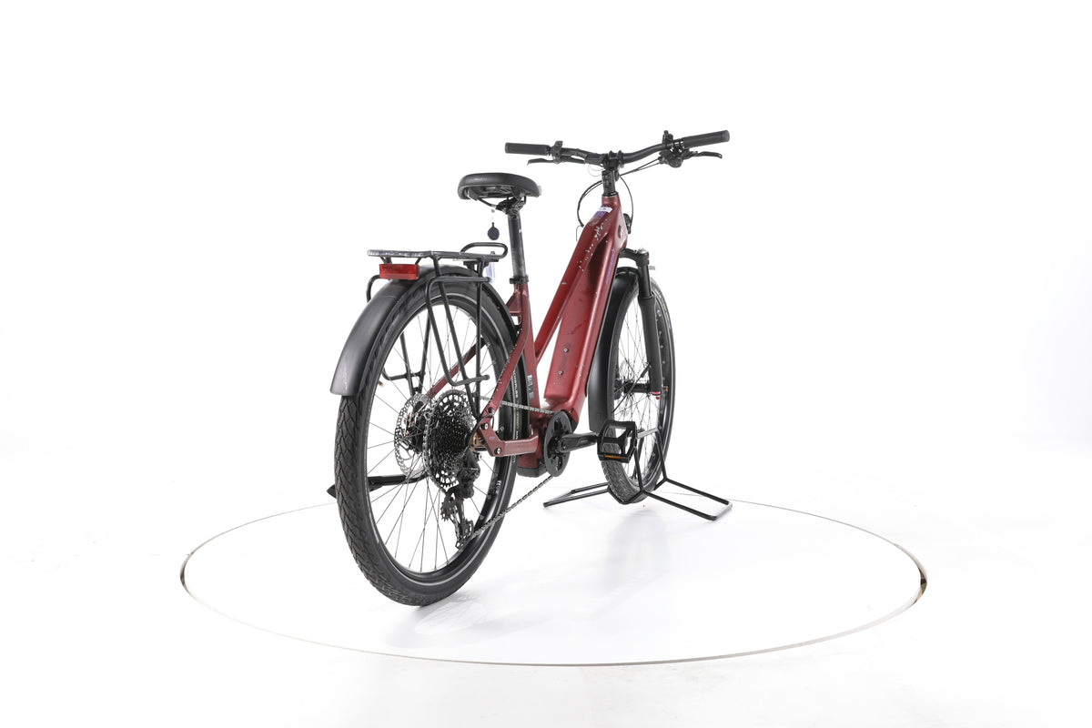 HoheAcht Pasia Terra Trekking E-Bike - Image 11