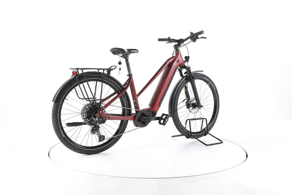 HoheAcht Pasia Terra Trekking E-Bike - Image 12