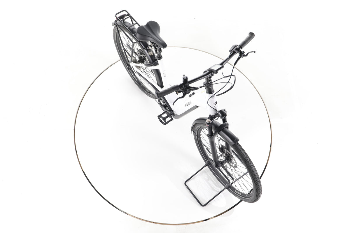 Pegasus PREMIO EVO 10 LITE COMFORT Trekking E-Bike Tiefeinsteiger - Image 15
