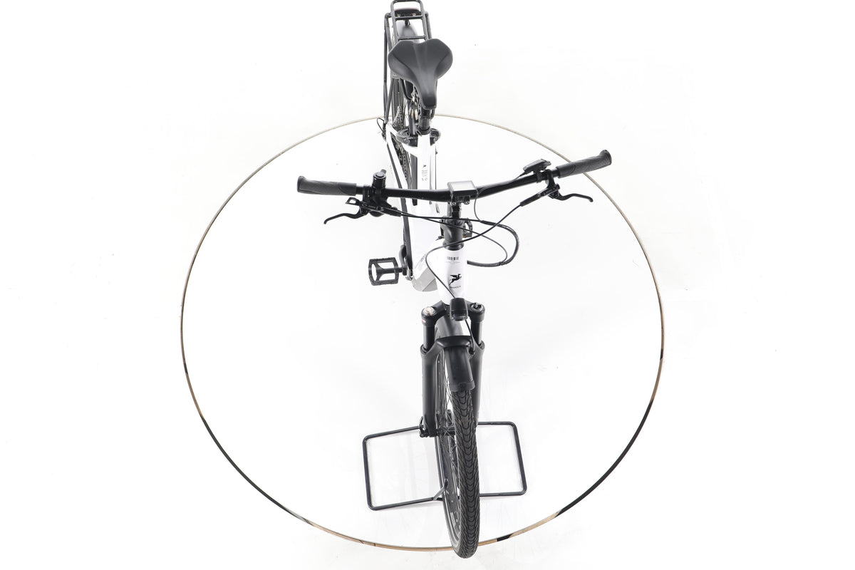 Pegasus PREMIO EVO 10 LITE COMFORT Trekking E-Bike Tiefeinsteiger - Image 16