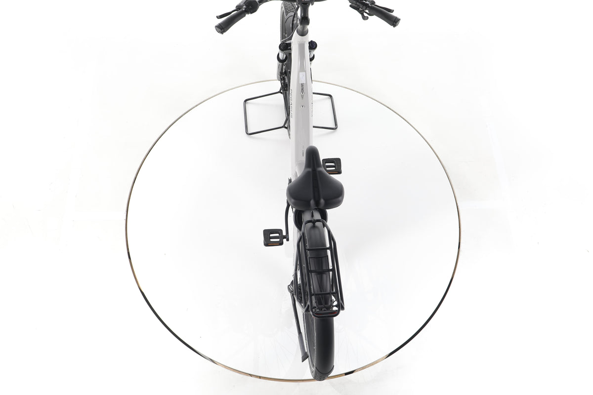 Pegasus Savino Evo 10 CX Trekking E-Bike Tiefeinsteiger - Image 22