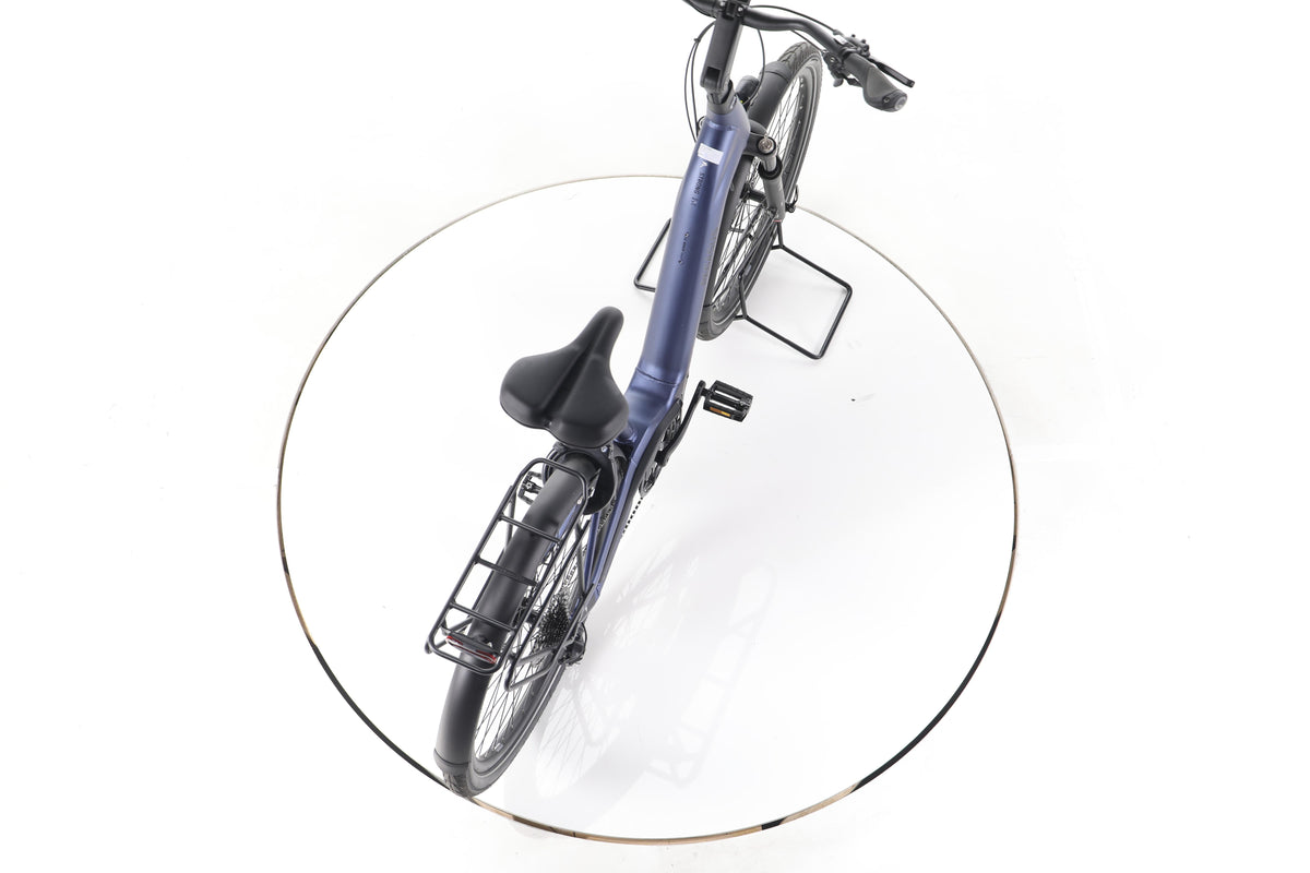 Pegasus STRONG EVO 10 LITE Trekking E-Bike Tiefeinsteiger 2024 - Image 23