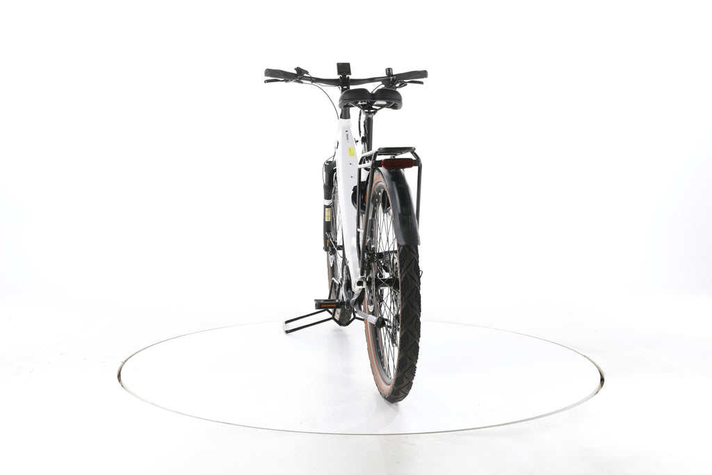 Pegasus PREMIO EVO 10 LITE - 625 Wh - Trekking E-Bike Tiefeinsteiger 2024 - Image 10