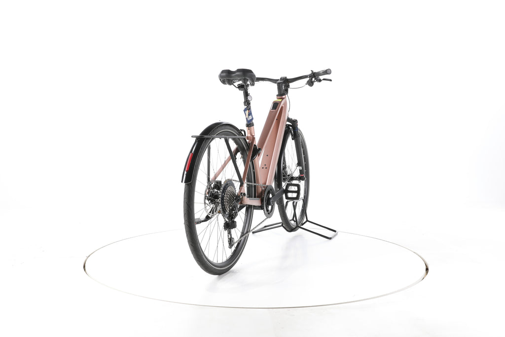 Riese & Müller UBN Seven Touring Trekking E-Bike 2024 - Image 11