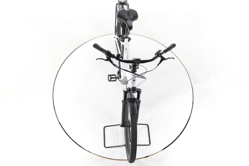 Pegasus Premio EVO 5F Lite Belt City E-Bike Tiefeinsteiger - Image 16
