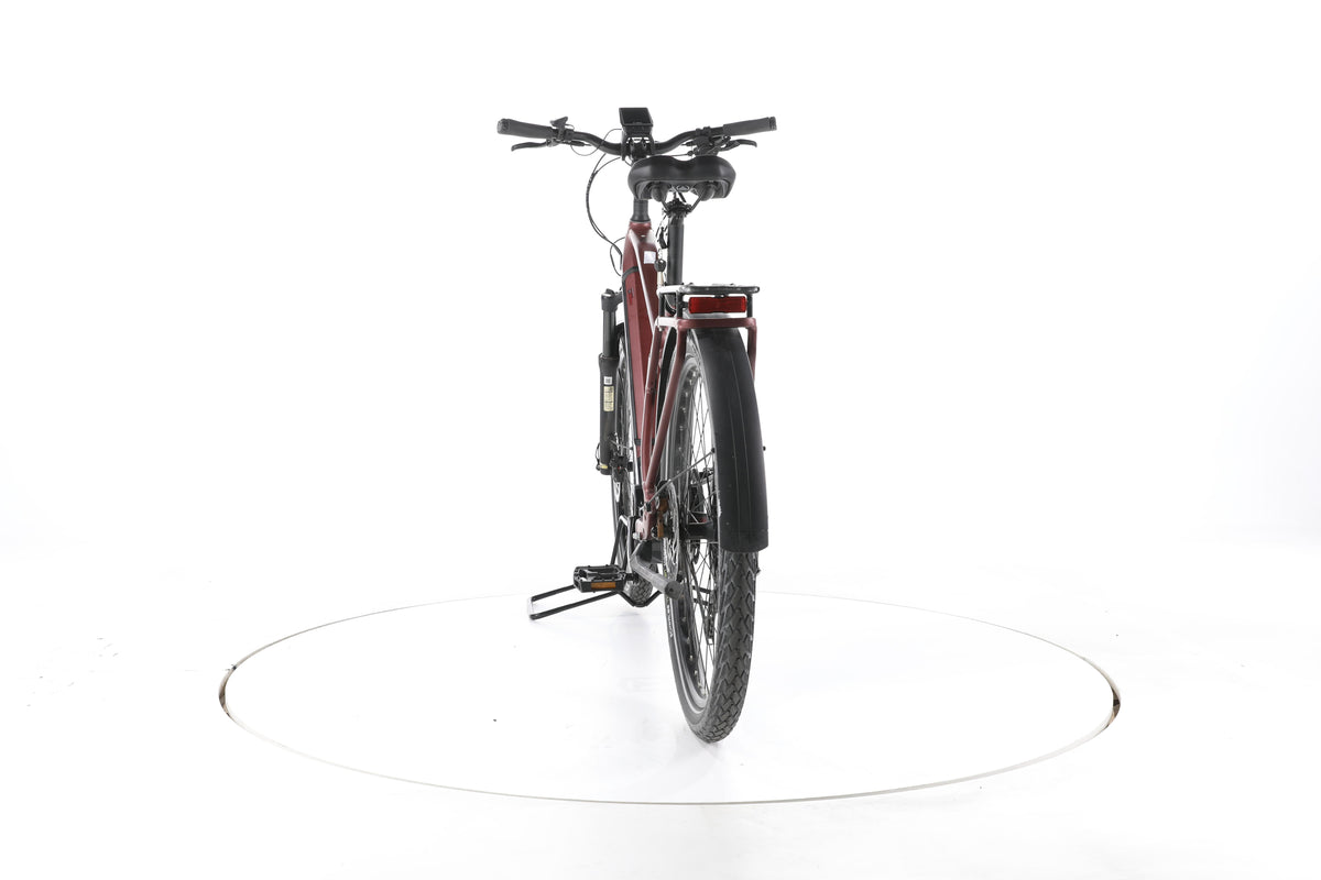 EBIKE 13ZEHN Trekking E-Bike - Image 10