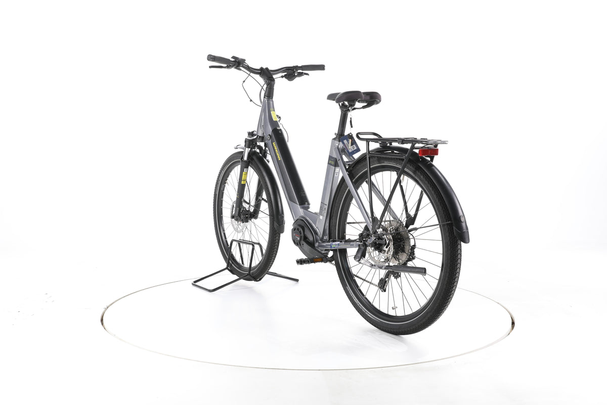 Winora Sinus iX10 Trekking E-Bike Tiefeinsteiger - Image 9