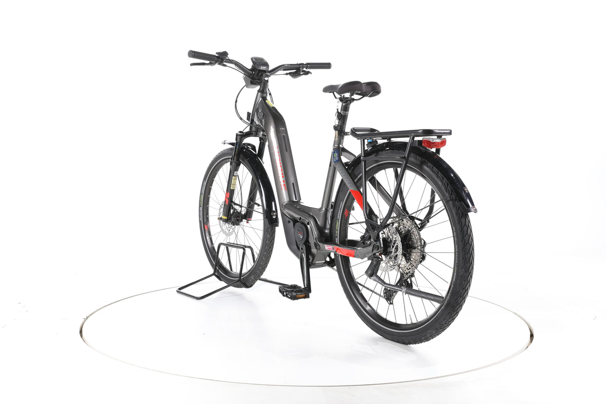 Haibike Trekking 9 Trekking E-Bike Tiefeinsteiger - Image 9