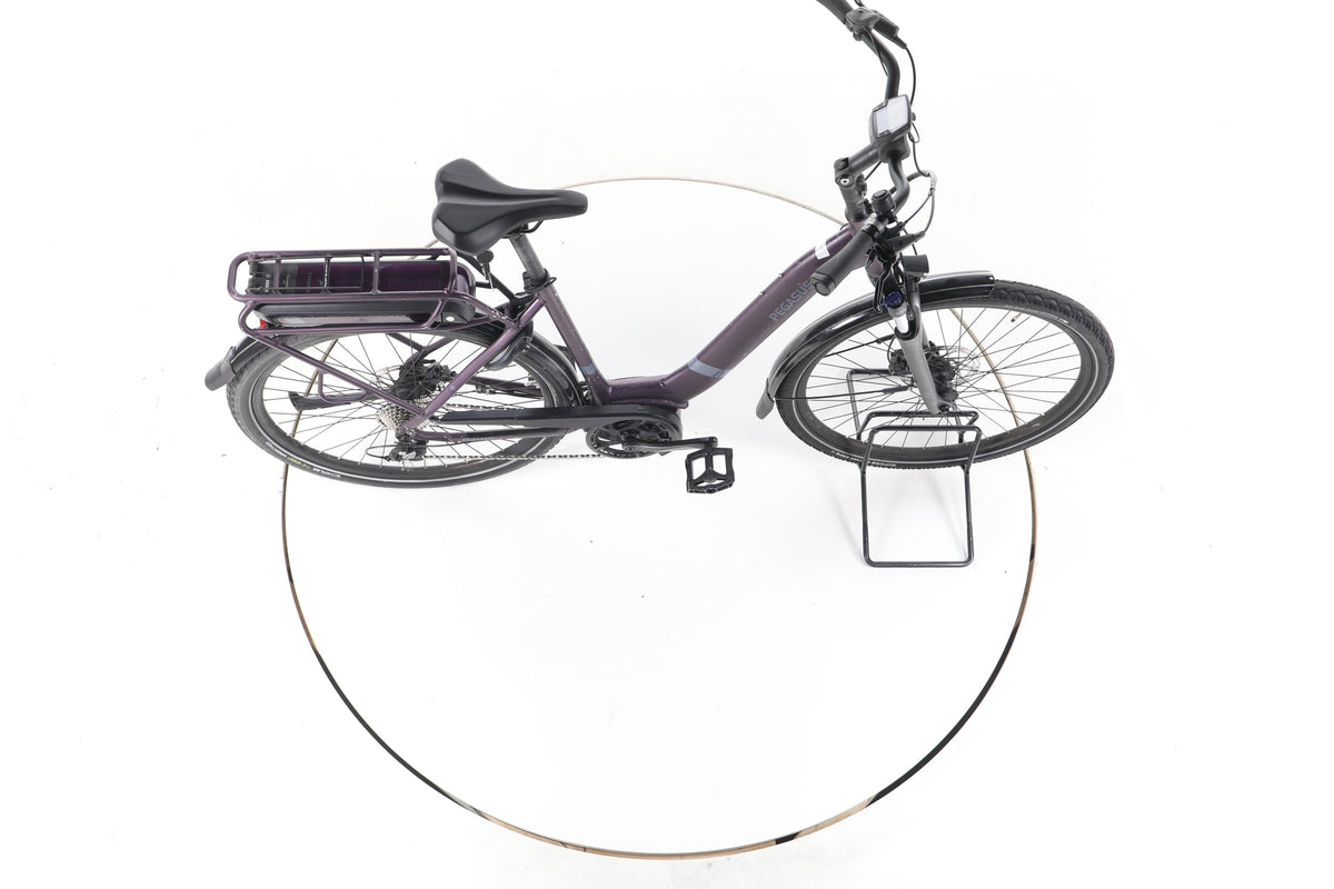 Pegasus Solero E8 Plus Trekking E-Bike Tiefeinsteiger - Image 13