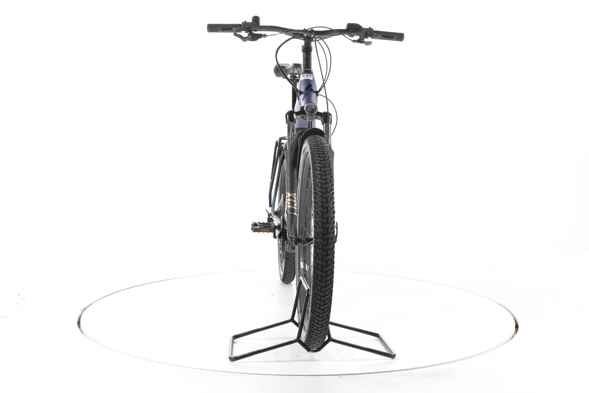 Bulls Iconic EVO 2 Trekking E-Bike - Image 4
