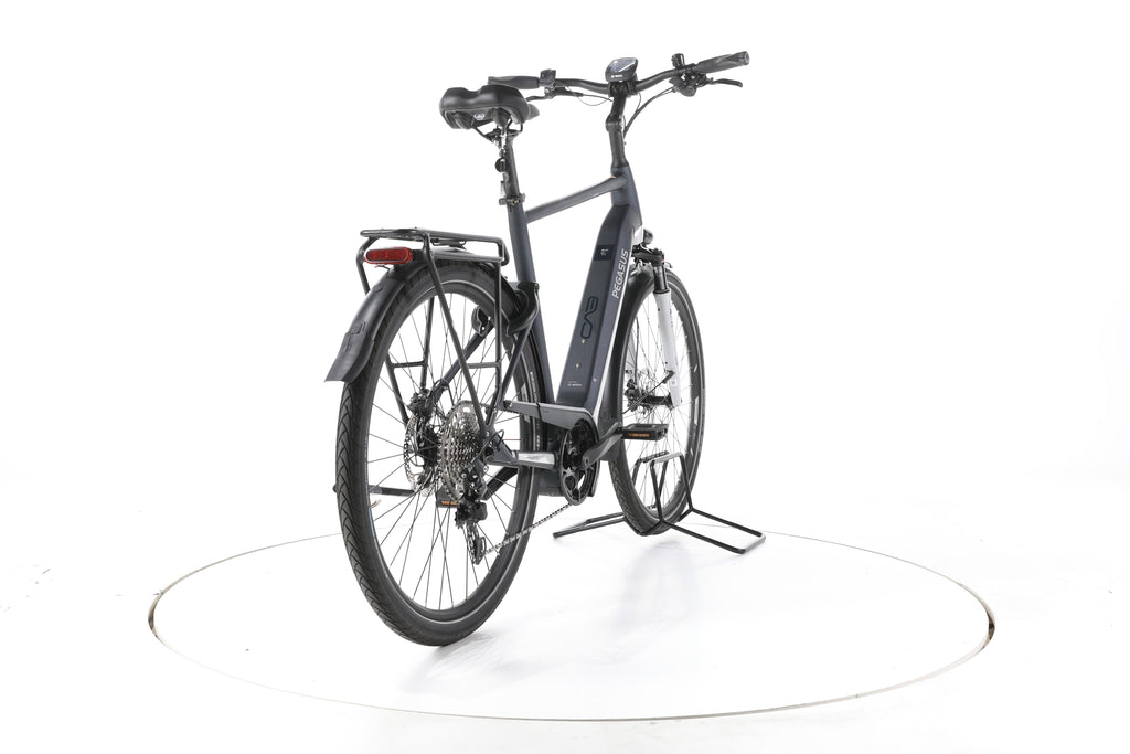 Pegasus Premio Evo 10 Lite Trekking E-Bike - Image 11