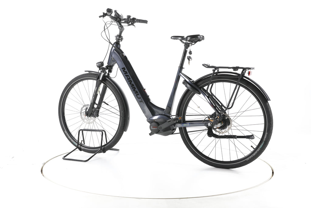 Mammut E-Dition Belt City E-Bike Tiefeinsteiger - Image 8
