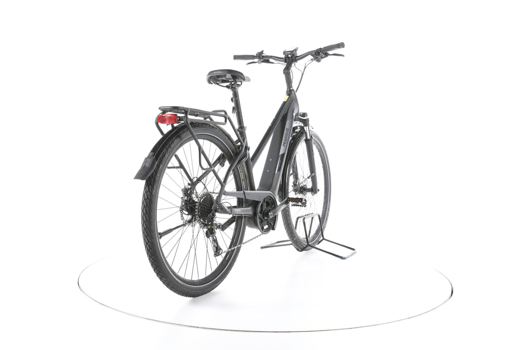 Pegasus Solero Evo 9 Trekking E-Bike - Image 11