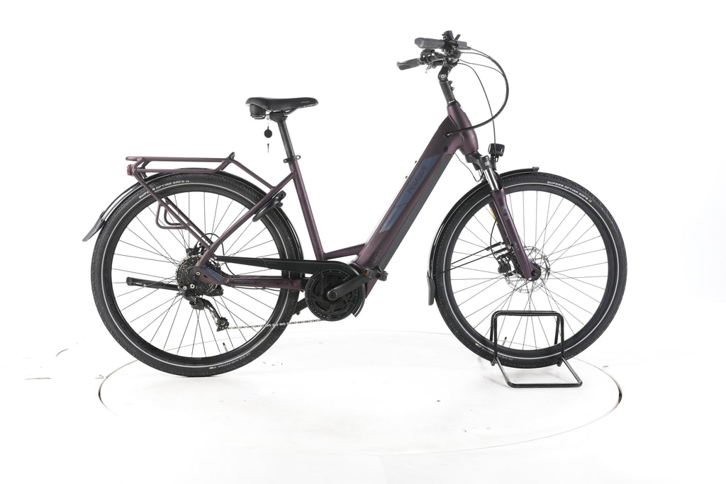 Pegasus Solero EVO 9 Trekking E-Bike Tiefeinsteiger - Image 1