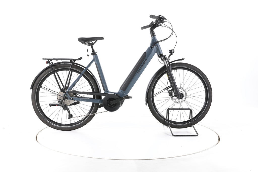 Winora TB300 Trekking E-Bike Tiefeinsteiger - Image 1
