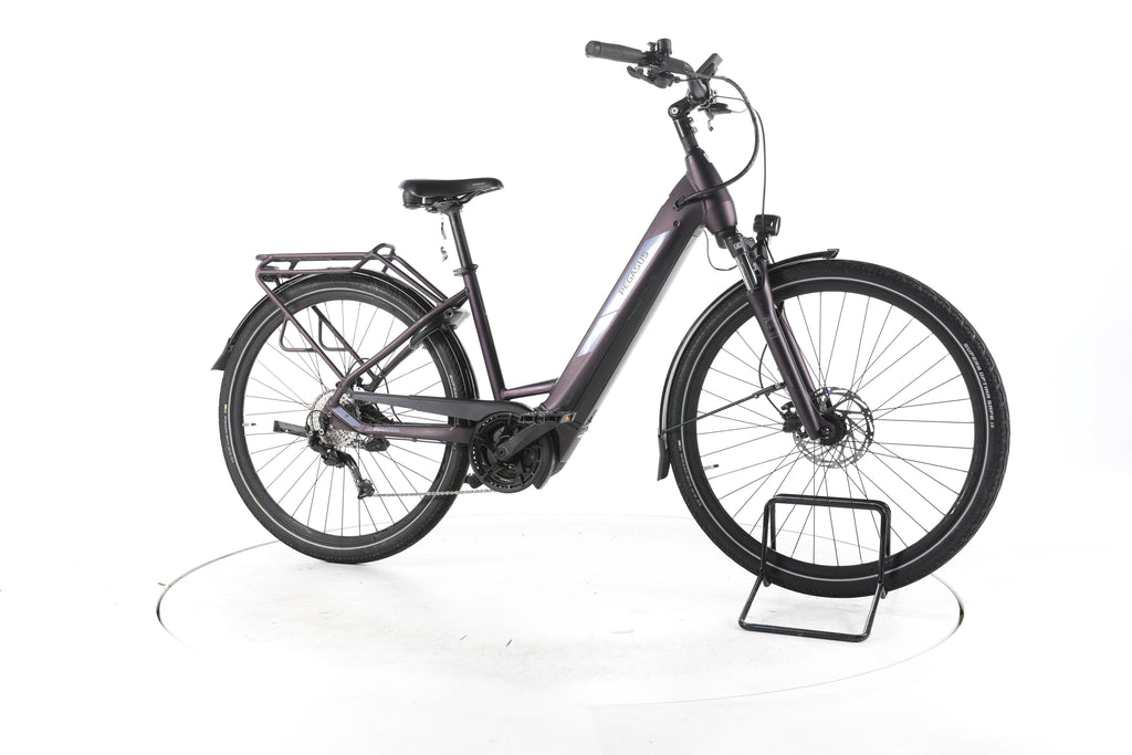 Pegasus Solero Evo 9 Trekking E-Bike Tiefeinsteiger 2024 - Image 2