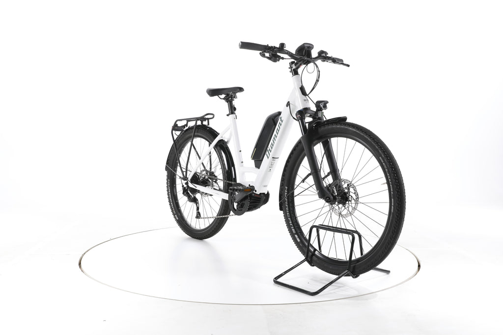 Diamant Zing+ Gen 1 Trekking E-Bike Tiefeinsteiger - Image 3