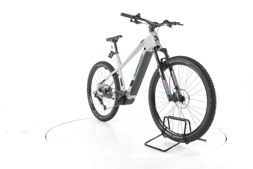 X-Fact E Race 29 E-Bike 2024 - Image 3