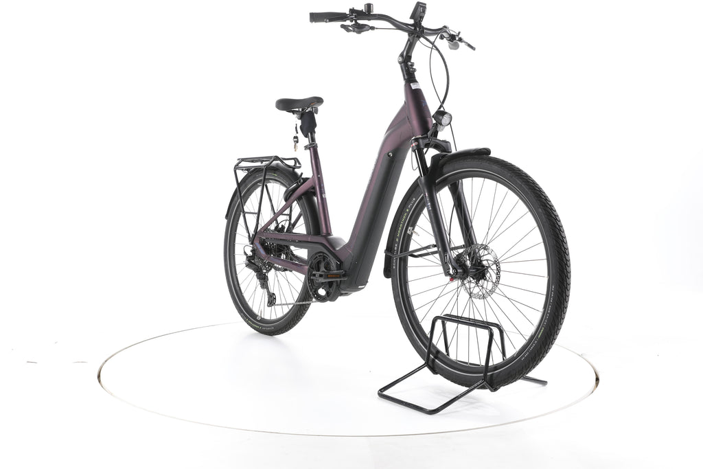 Pegasus Premio EVO Lite Trekking E-Bike Tiefeinsteiger - Image 3