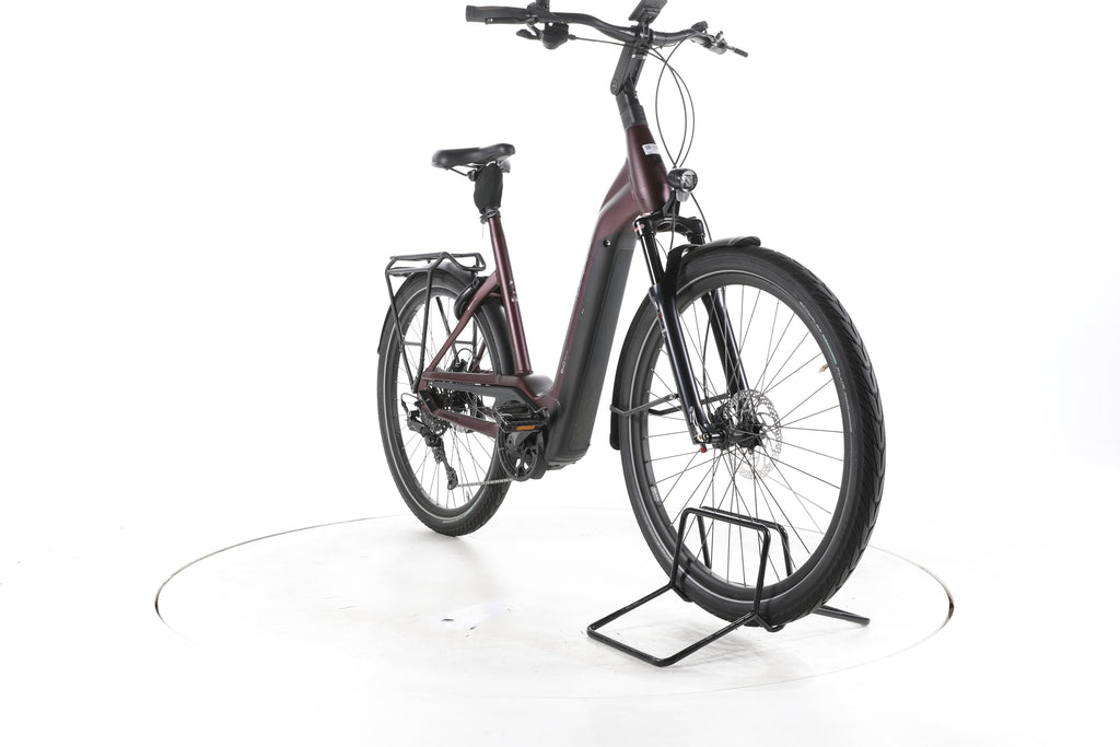 Pegasus Strong Evo 10 Lite Trekking E-Bike Tiefeinsteiger 2024 - Image 3