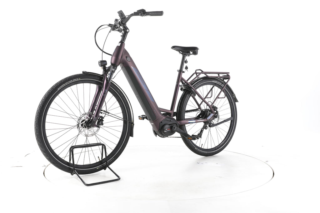 Pegasus Solero EVO 9 Trekking E-Bike Tiefeinsteiger - Image 6