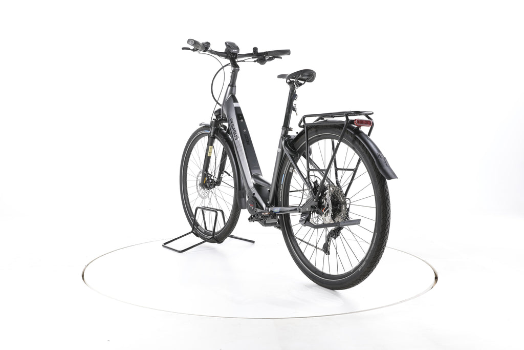 Pegasus Premio Evo 10 Lite Trekking E-Bike Tiefeinsteiger - Image 9