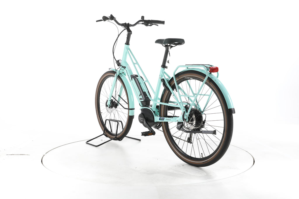 Pegasus Orticello E Trekking E-Bike Tiefeinsteiger - Image 9