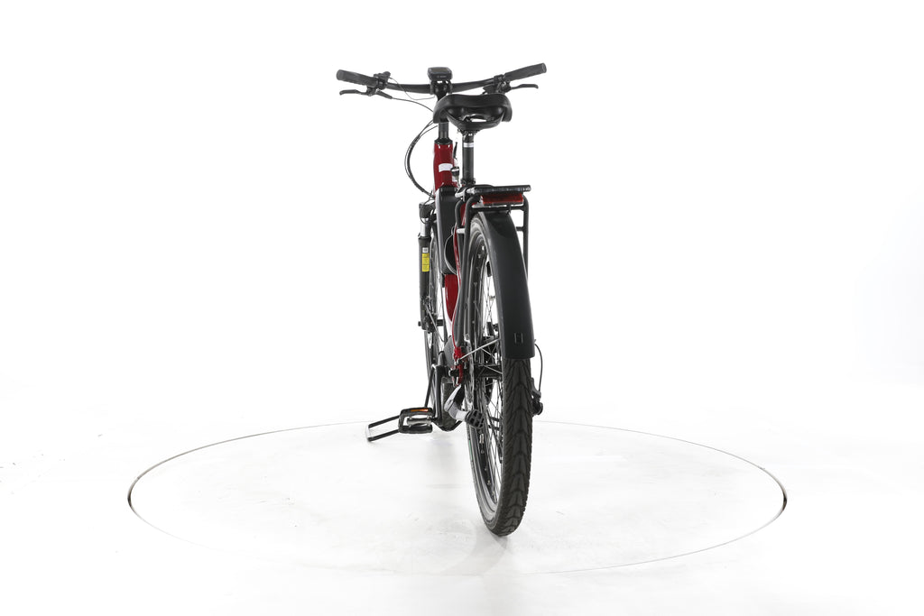 MORRISON E 6.0 Trekking E-Bike Tiefeinsteiger - Image 10
