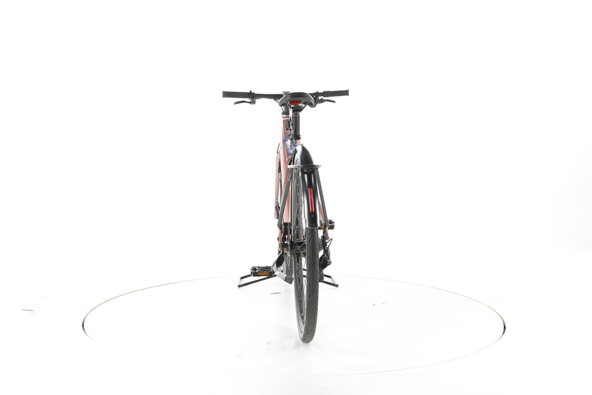 Riese & Müller UBN Seven touring Trekking E-Bike - Image 10