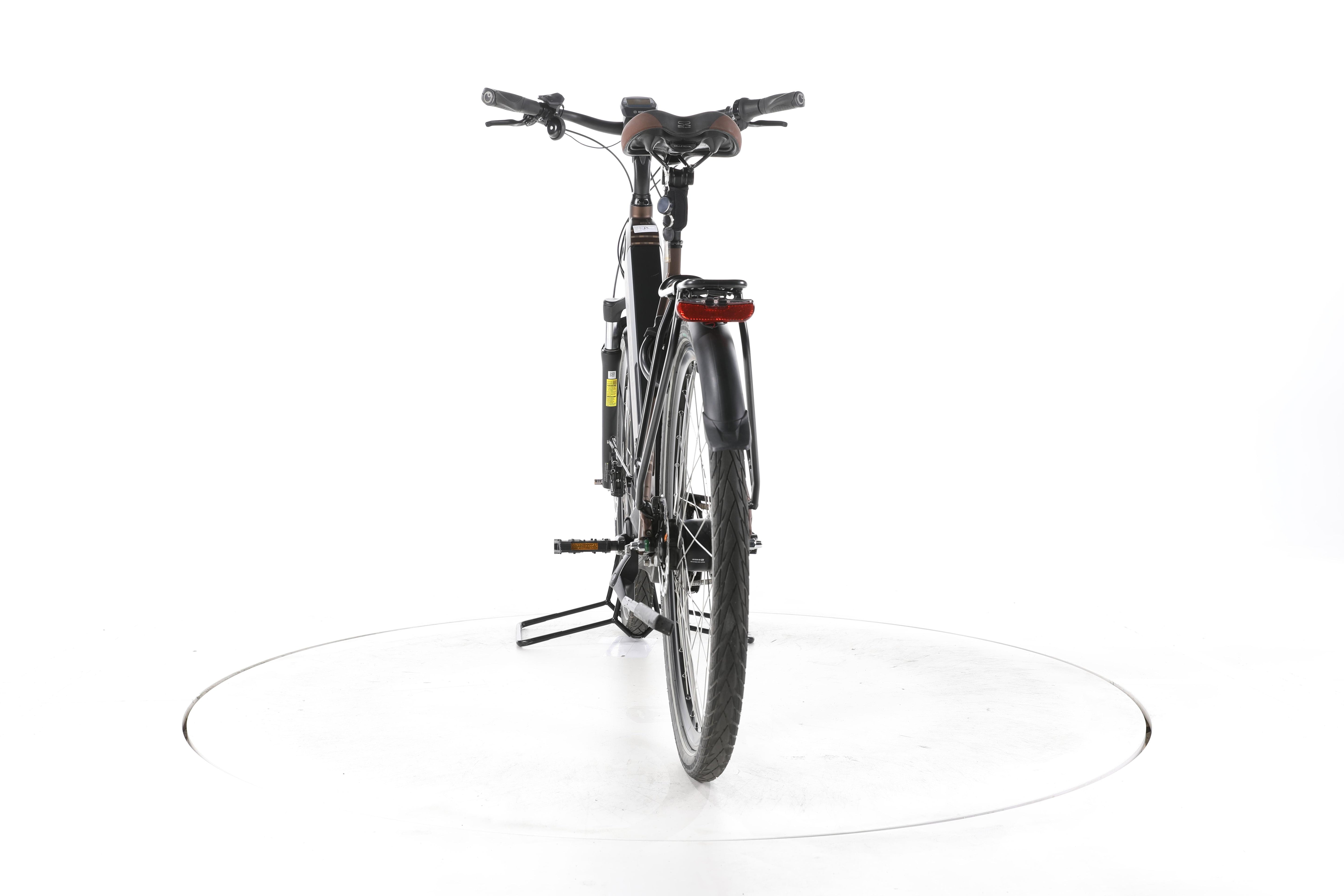 Raleigh Bristol XXL City E-Bike Tiefeinsteiger - Image 10