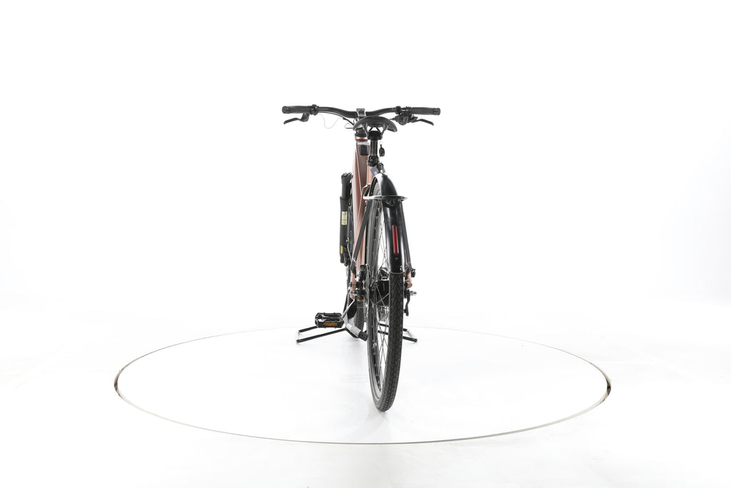 Riese & Müller UBN Seven silent City E-Bike - Image 10