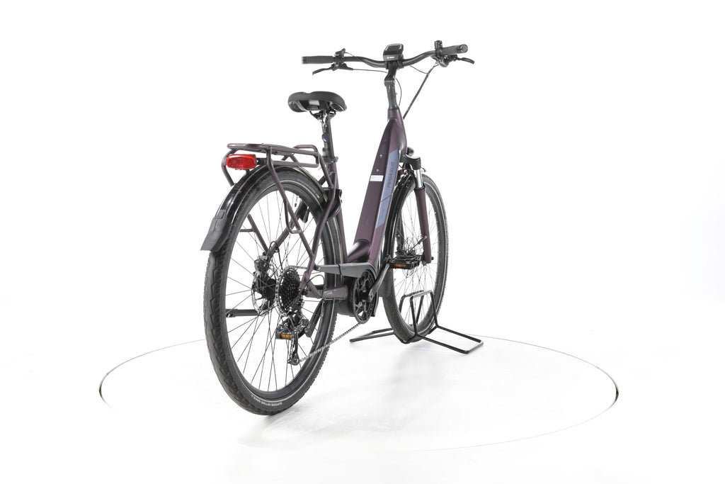 Pegasus Solero EVO 9 Trekking E-Bike Tiefeinsteiger - Image 11