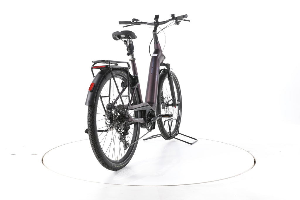 Pegasus Premio EVO Lite Trekking E-Bike Tiefeinsteiger - Image 11