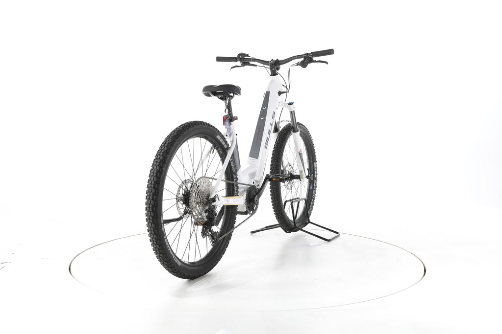 Bulls Aminga EVA 2 Trekking E-Bike Tiefeinsteiger - Image 11