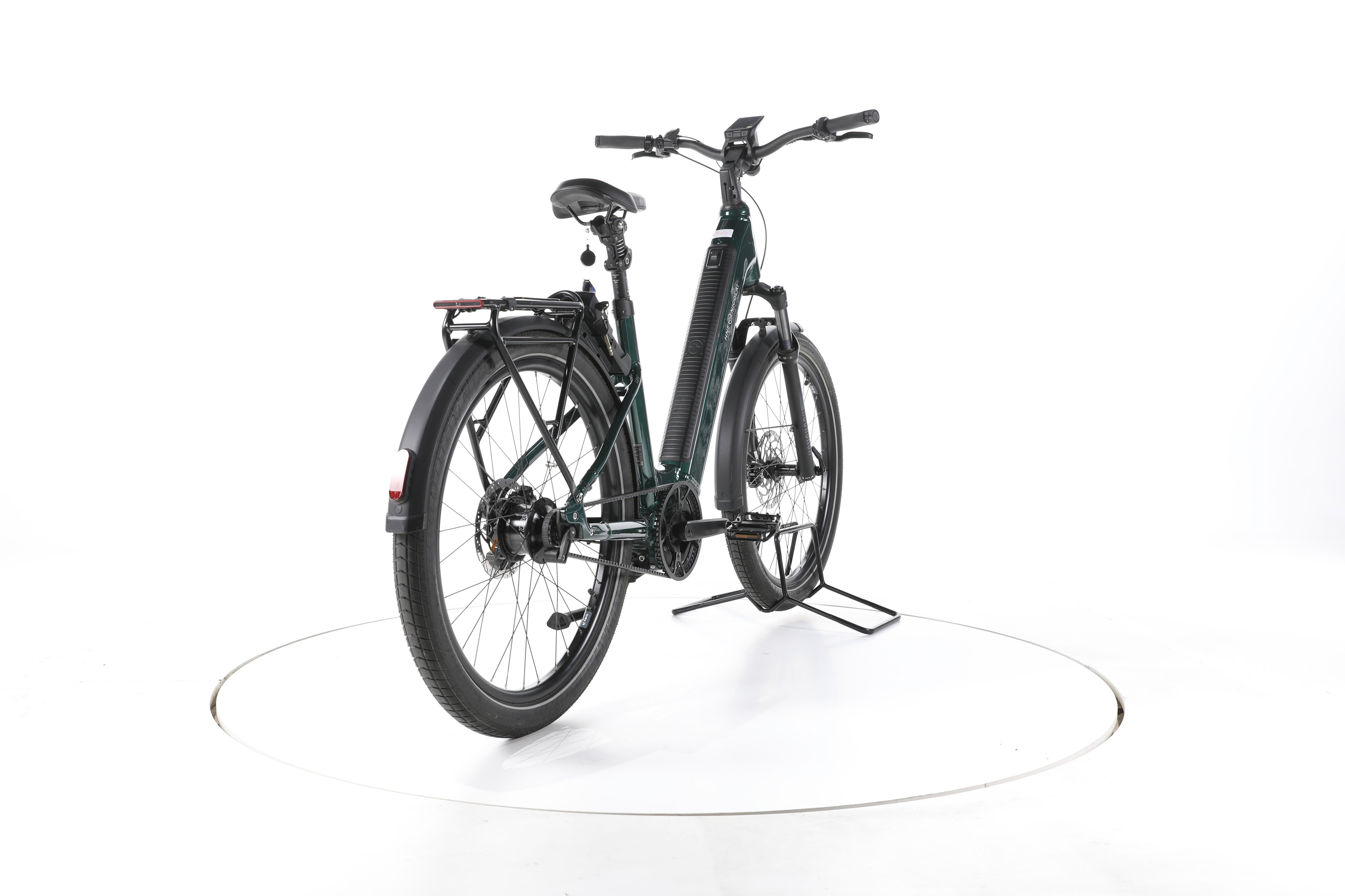 HNF Nicolai UD4 All Terrain Rohloff City E-Bike Tiefeinsteiger - Image 11