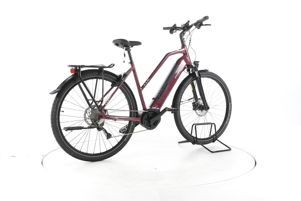 Raleigh Kent 9 Trekking E-Bike - Image 12