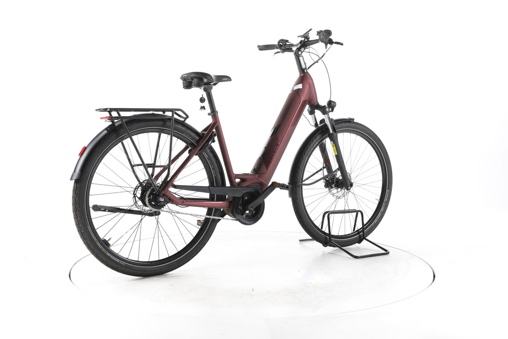 Pegasus Solero EVO City E-Bike Tiefeinsteiger - Image 12