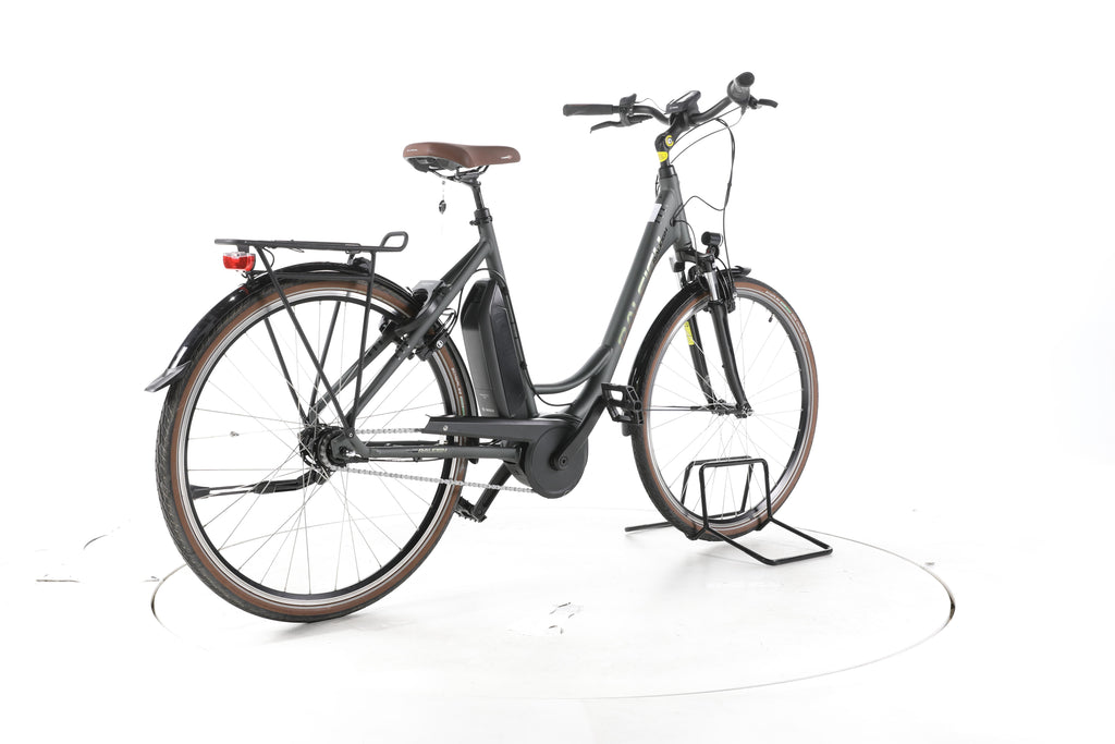 Raleigh Cardiff LB Plus City E-Bike Tiefeinsteiger - Image 12