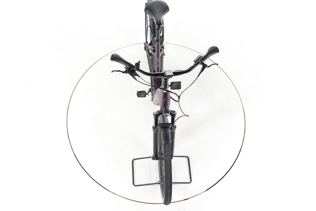 Pegasus Premio EVO 11 Trekking E-Bike Tiefeinsteiger - Image 16