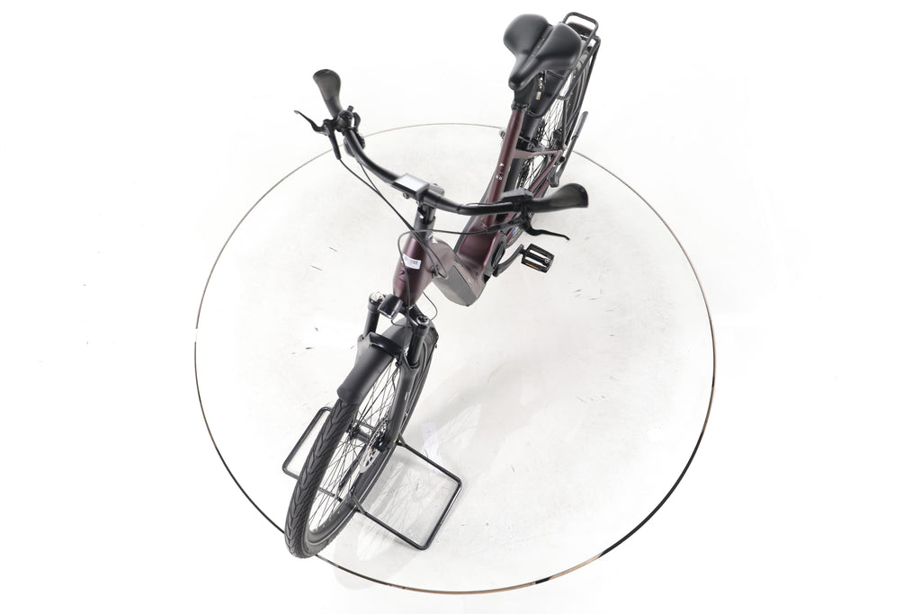 Pegasus Strong Evo 10 Lite Trekking E-Bike Tiefeinsteiger 2024 - Image 17